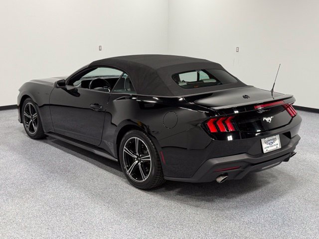 Used 2024 Ford Mustang Premium RWD image 7