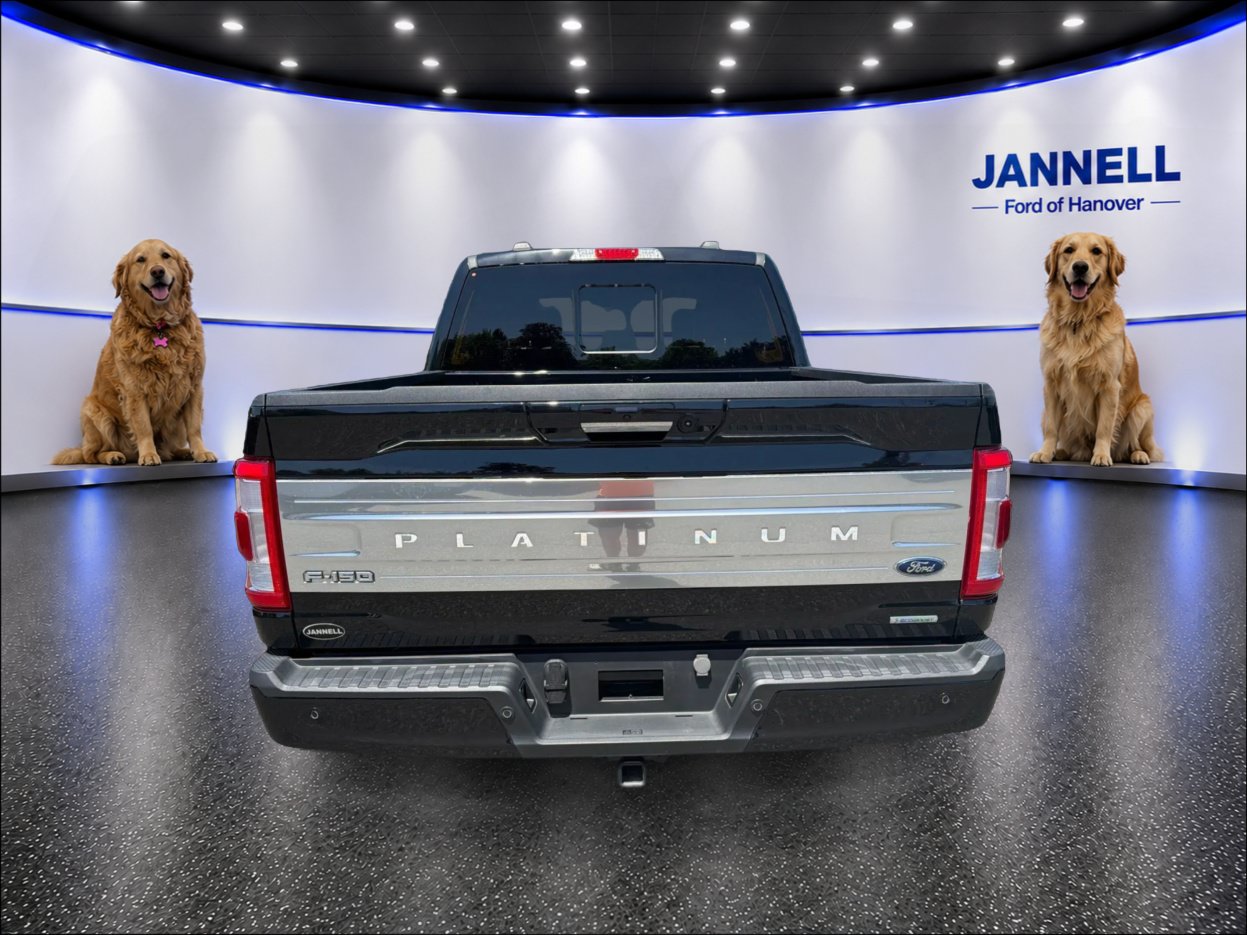 Used 2023 Ford F150 Platinum w/ Equipment Group 701A High AWD/4WD image 7