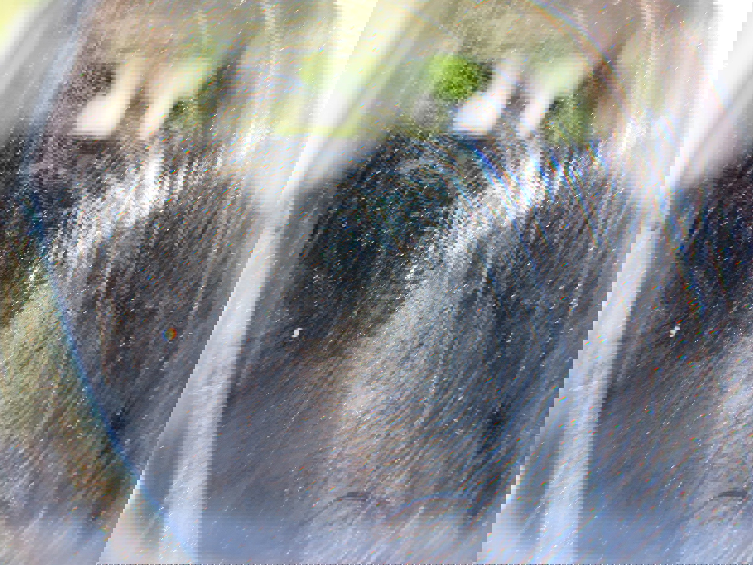 Used 2023 Nissan Rogue S image 8