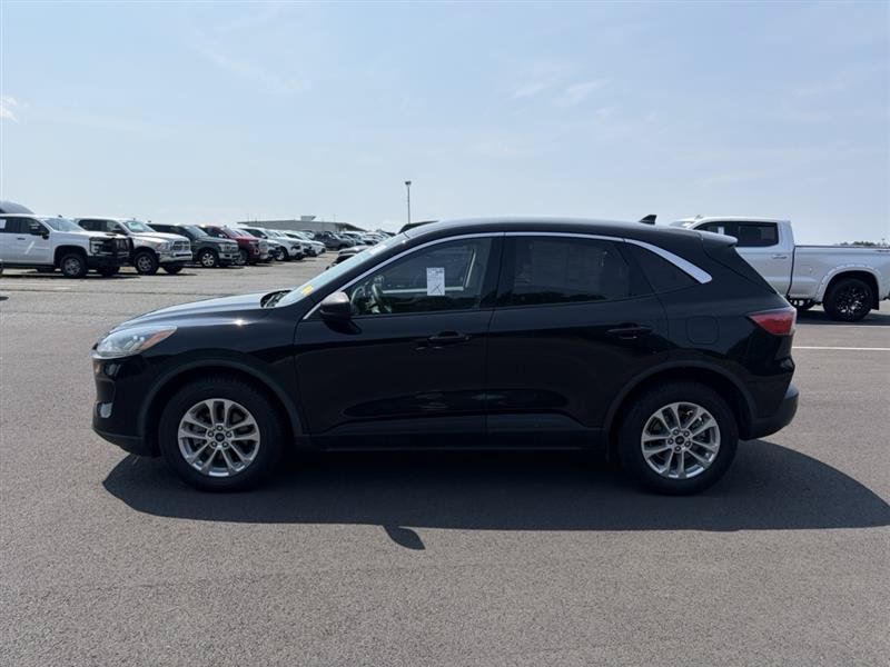 Used 2022 Ford Escape SE AWD/4WD image 5