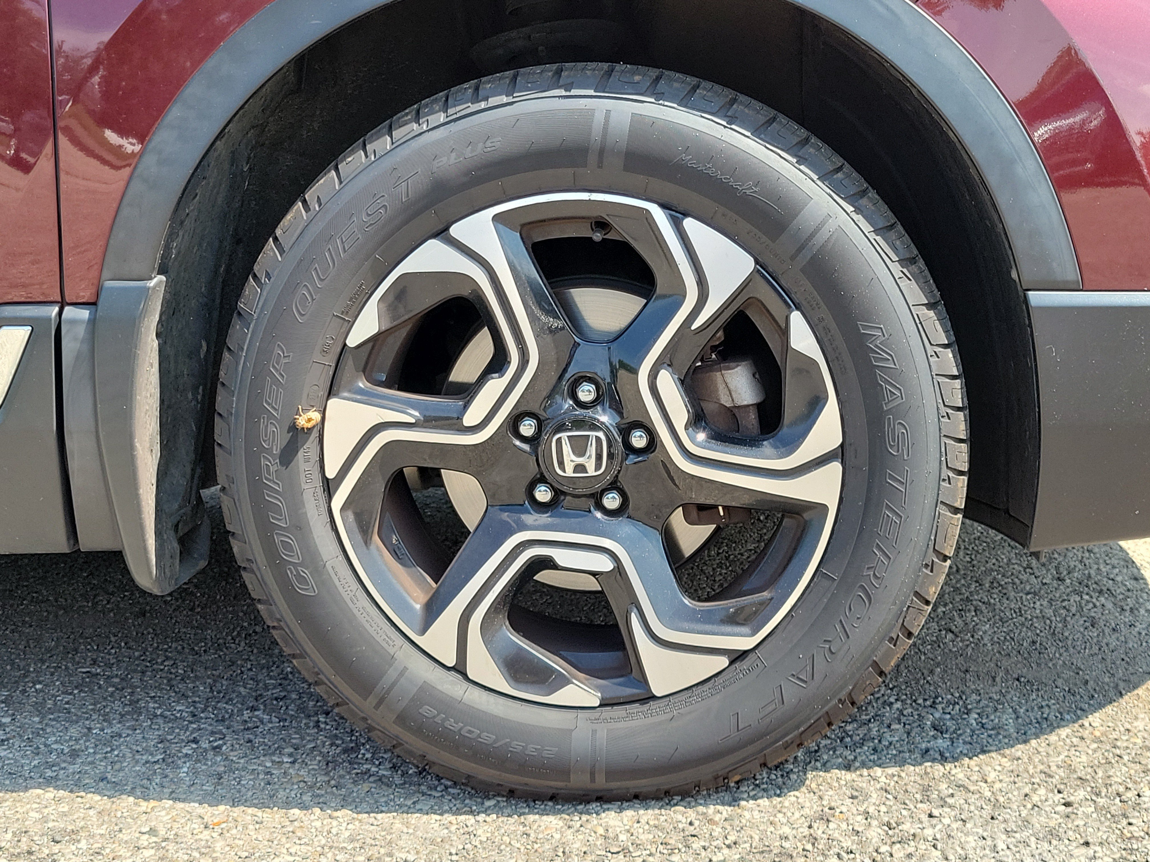 Used 2019 Honda CR-V Touring image 5