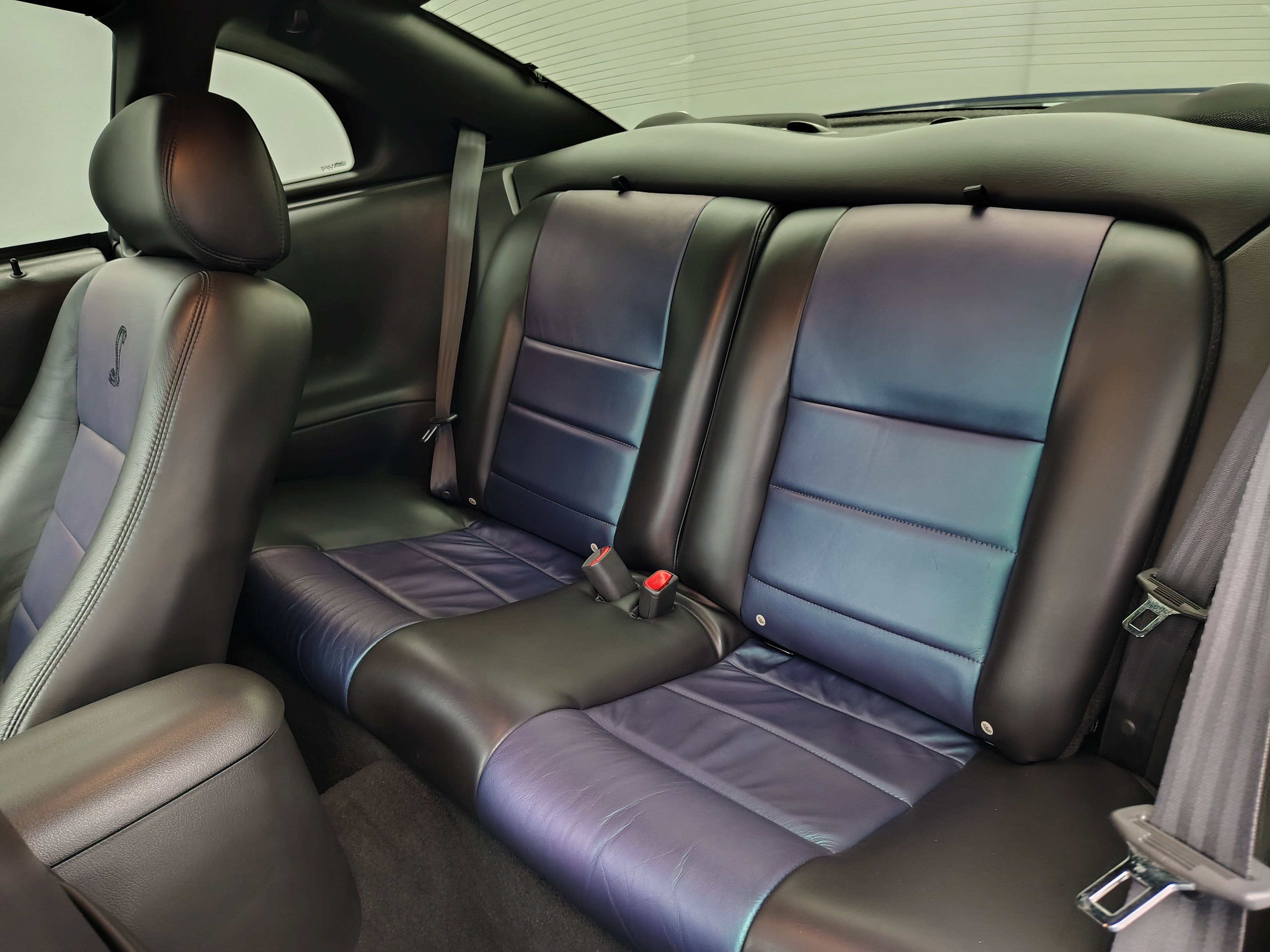 Used 2004 Ford Mustang Cobra RWD image 57