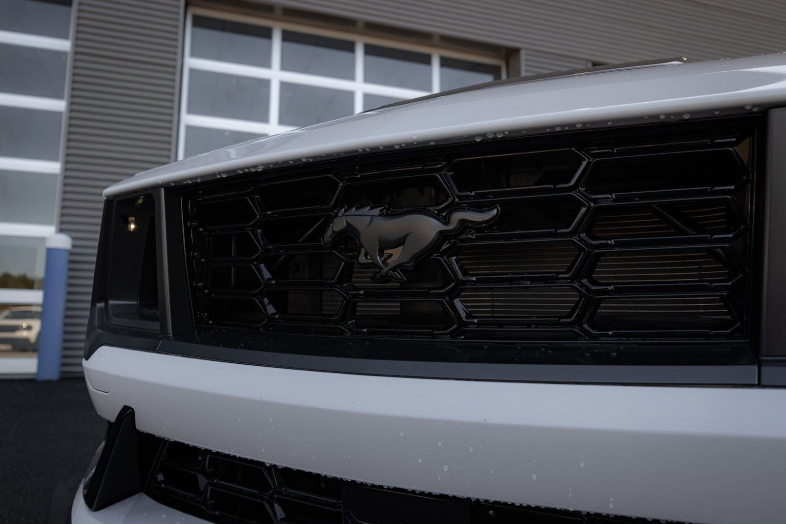 Used 2025 Ford Mustang Dark Horse RWD image 14