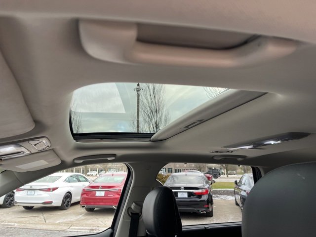 Used 2021 Kia Telluride EX w/ EX Premium Package image 12