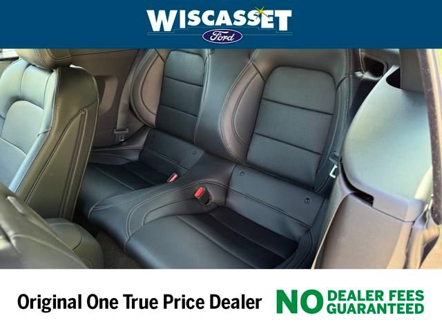 New 2025 Ford Mustang GT Premium w/ Mustang Nite Pony Package image 5
