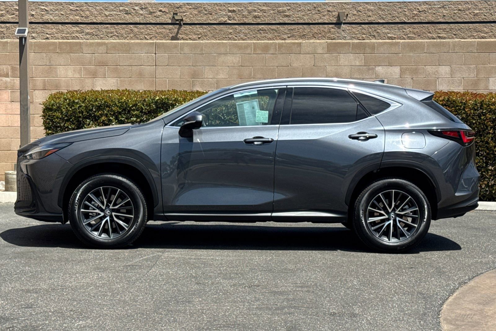 Certified 2024 Lexus NX 350h AWD w/ Cold Area Package image 7