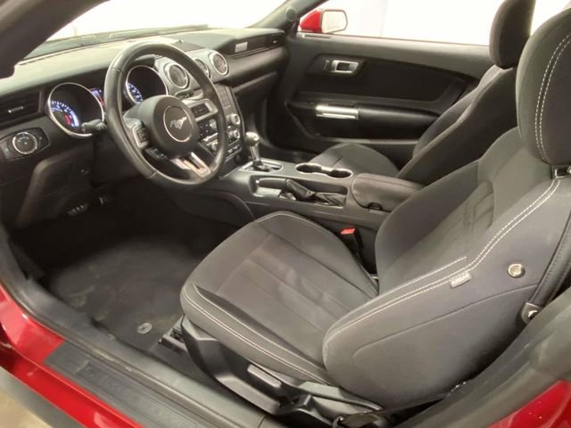 Used 2023 Ford Mustang EcoBoost image 9