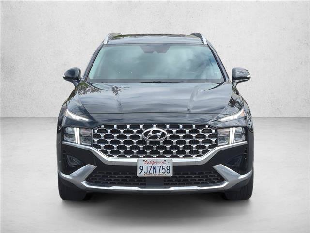 Used 2023 Hyundai Santa Fe Blue AWD/4WD image 2