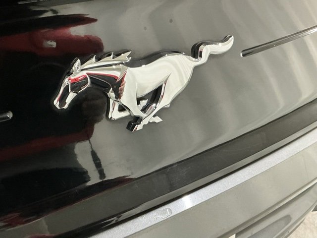 Used 2020 Ford Mustang Coupe w/ Equipment Group 101A image 5