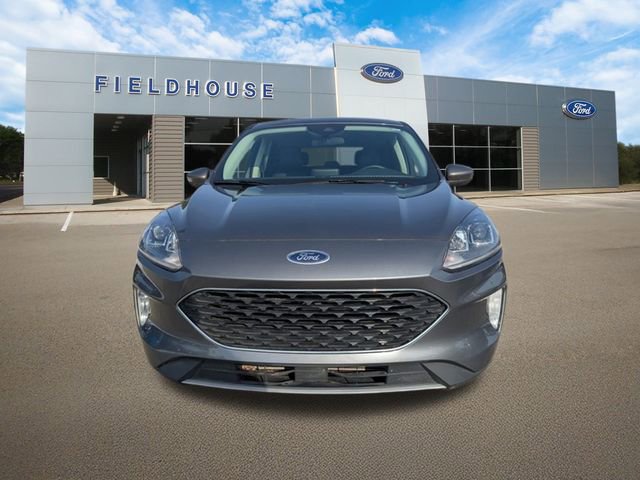 Used 2022 Ford Escape SEL image 7