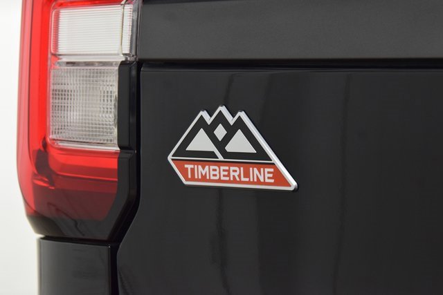Used 2024 Ford Expedition Timberline image 18