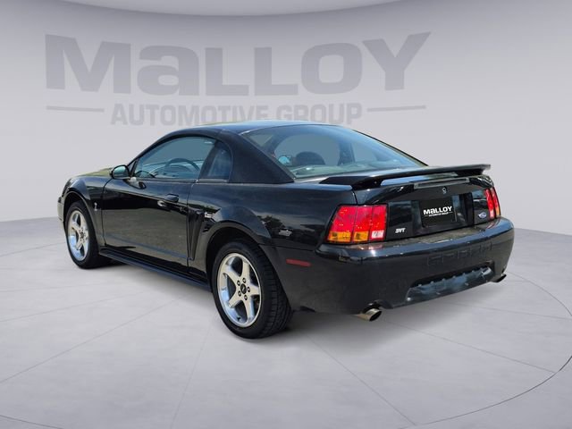 Used 2001 Ford Mustang Cobra RWD image 3