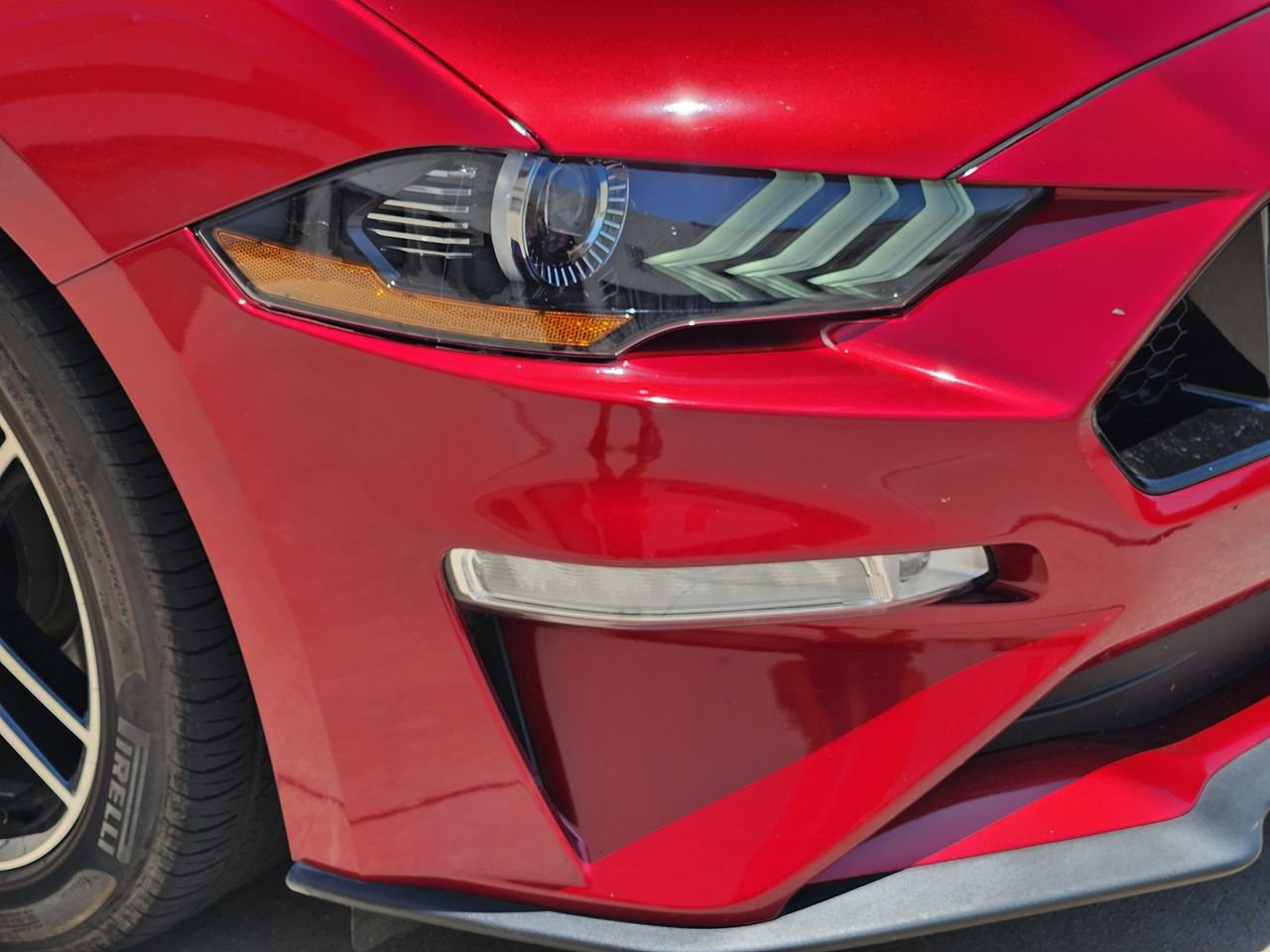 Used 2019 Ford Mustang GT Premium w/ Equipment Group 401A RWD image 5