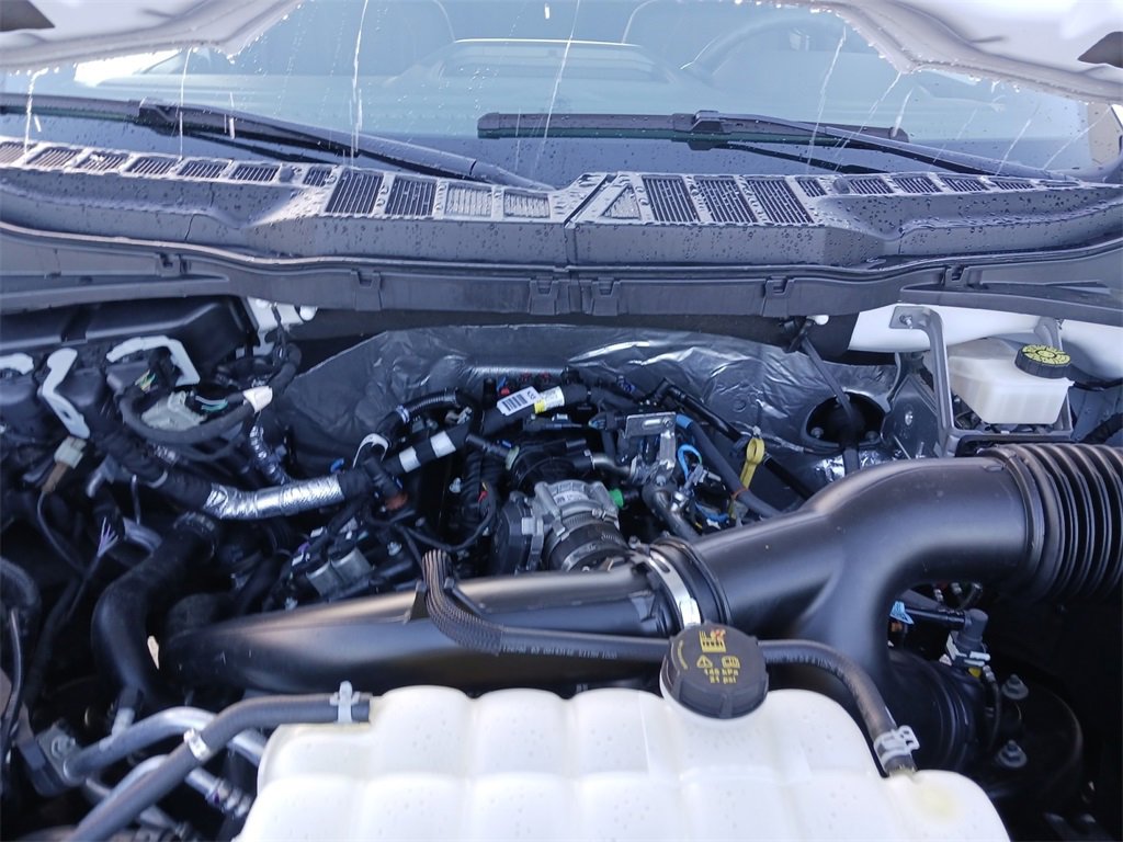 Used 2024 Ford F150 STX w/ STX Black Appearance Package image 14