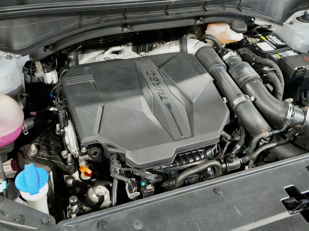 Used 2022 Kia Sorento X-Line EX image 13