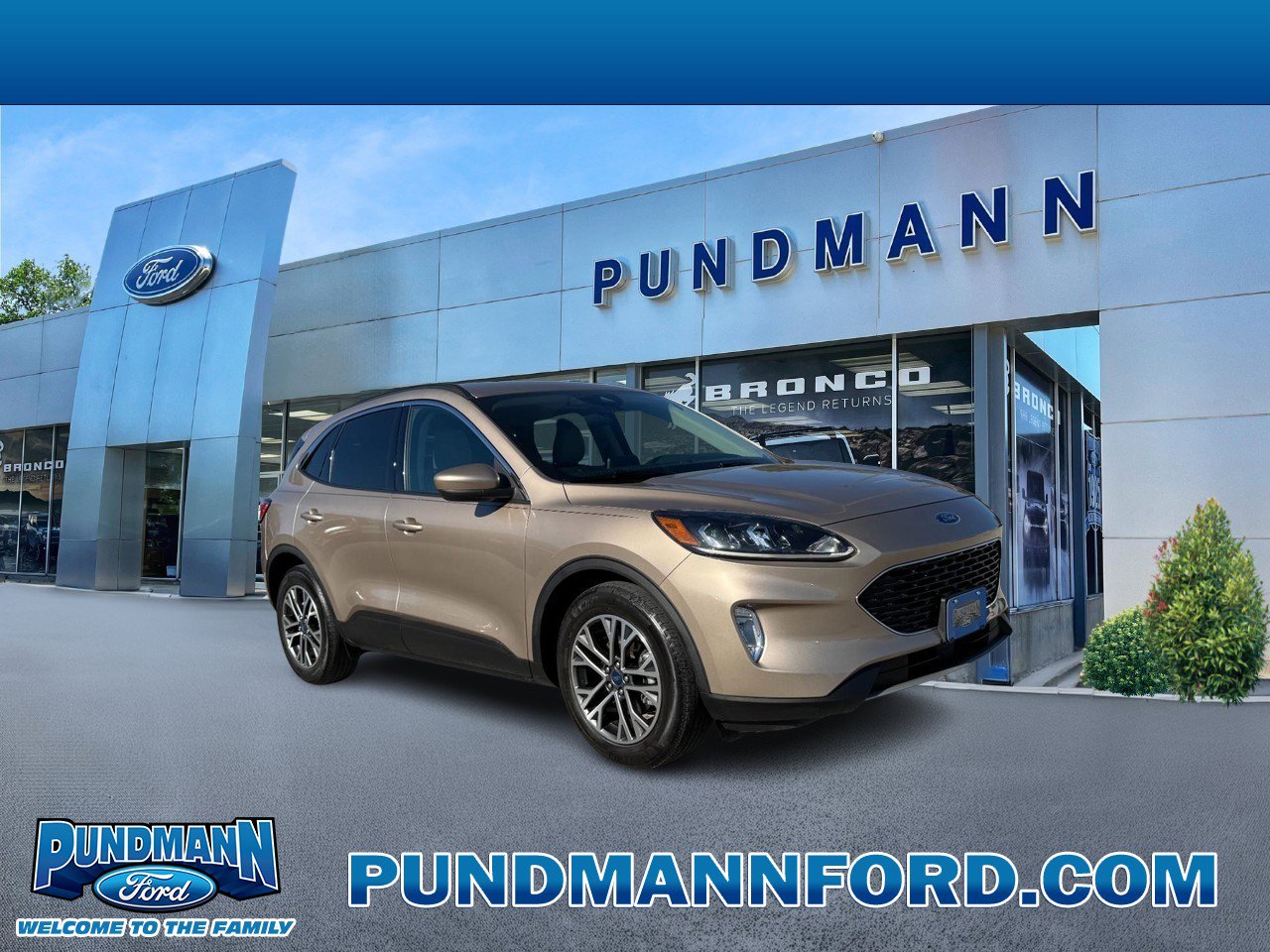 Used 2020 Ford Escape SEL