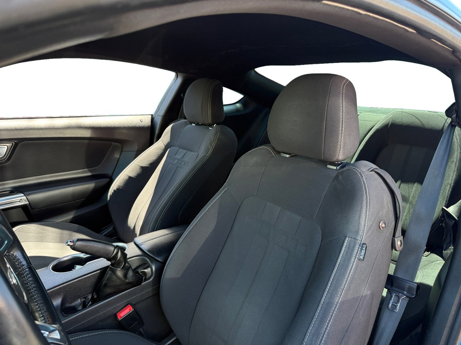 Used 2019 Ford Mustang GT w/ Equipment Group 301A RWD image 10