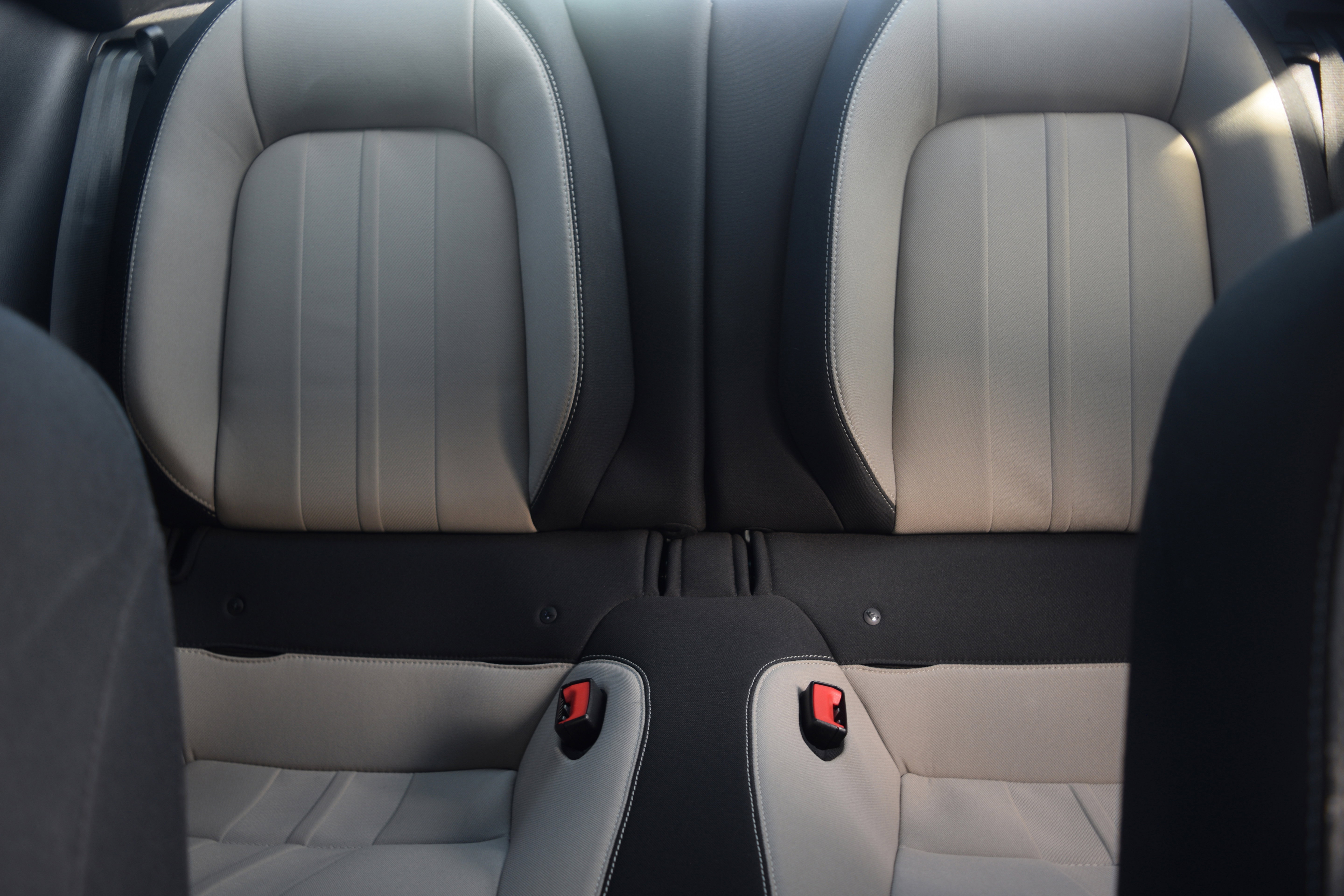 Used 2019 Ford Mustang GT w/ Equipment Group 301A image 15