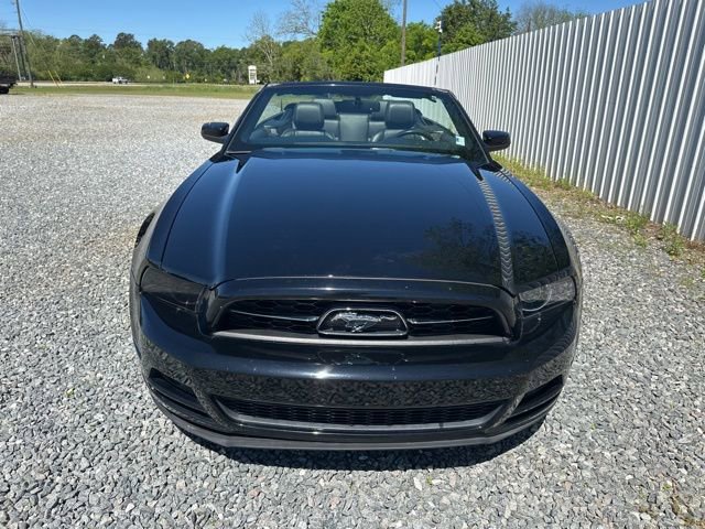 Used 2014 Ford Mustang Premium w/ Equipment Group 202A image 17