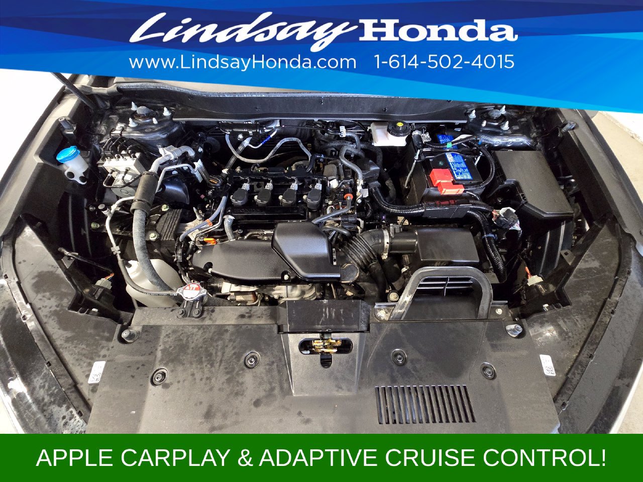 Used 2025 Honda CR-V LX image 24