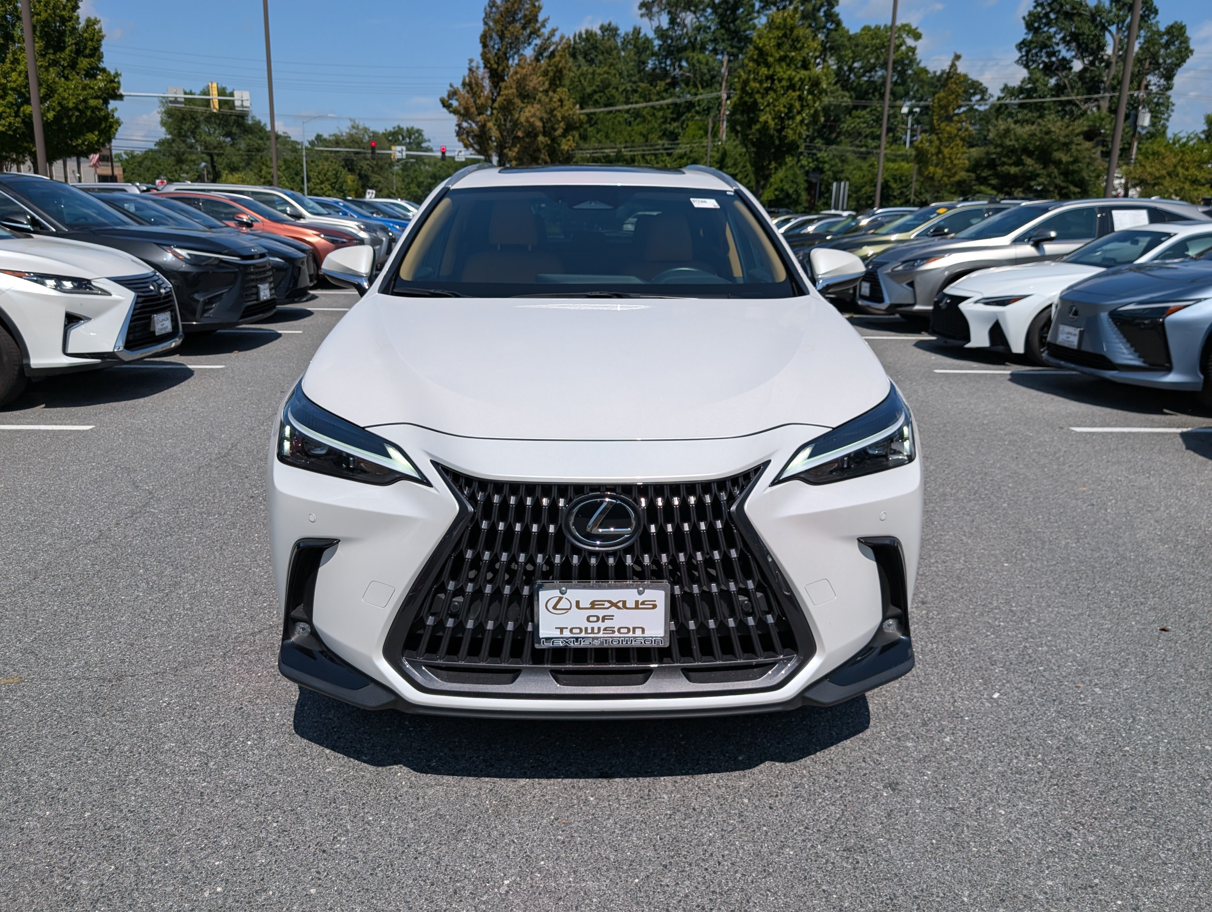 Certified 2025 Lexus NX 350 AWD w/ Cold Area Package image 8