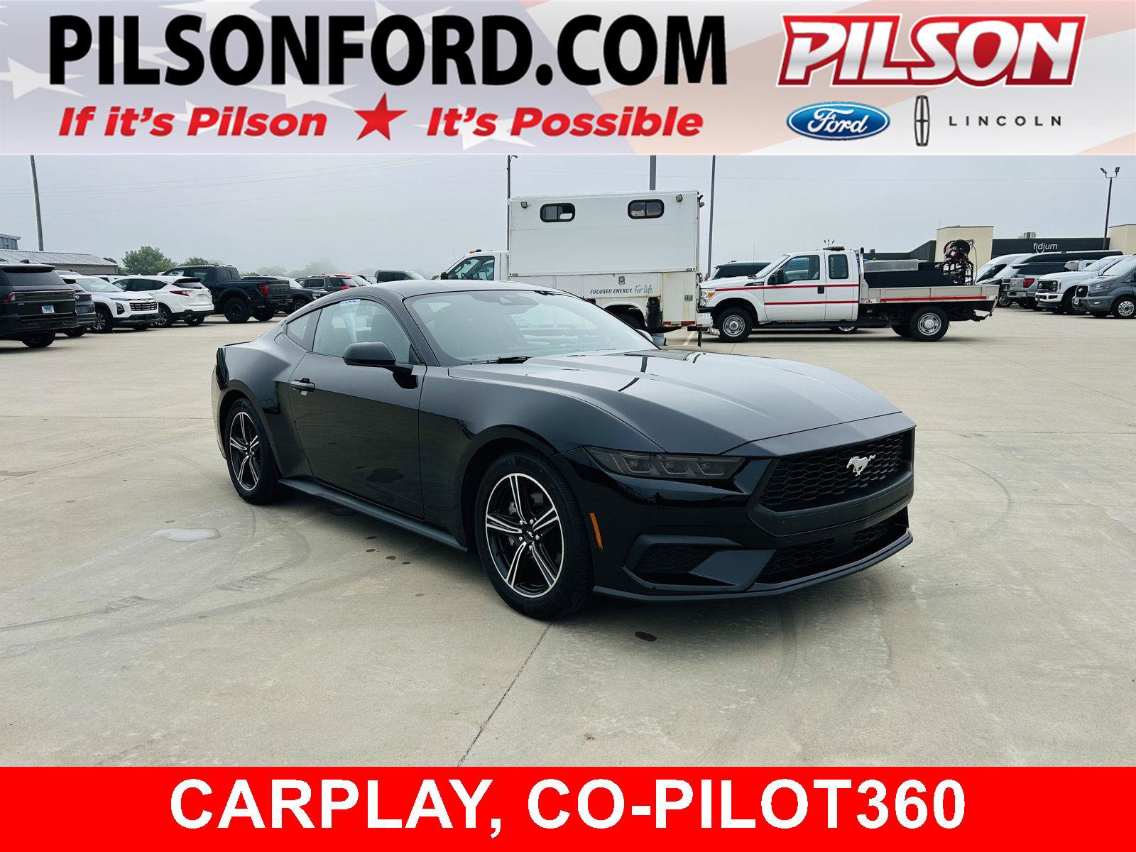 Used 2025 Ford Mustang Coupe RWD image 1
