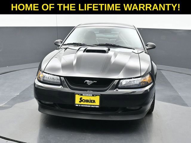 Used 2003 Ford Mustang Mach 1 image 9