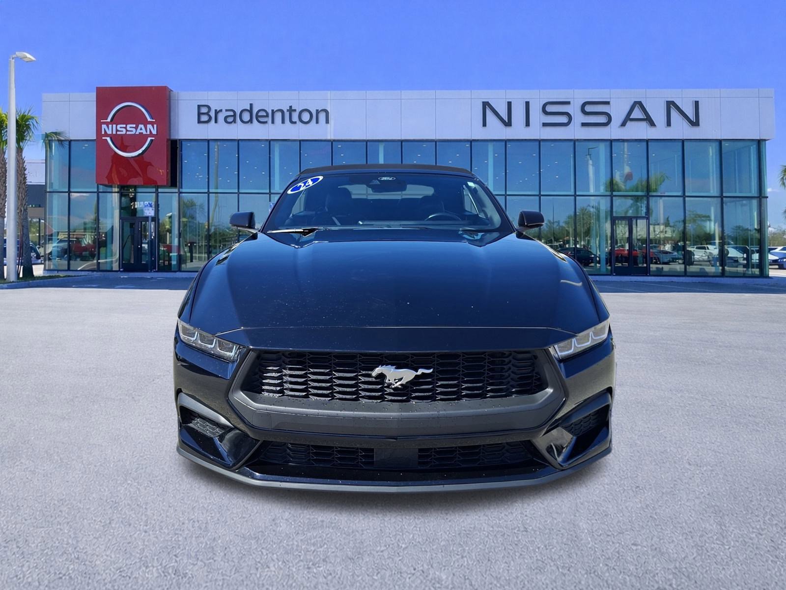 Used 2024 Ford Mustang Premium image 2