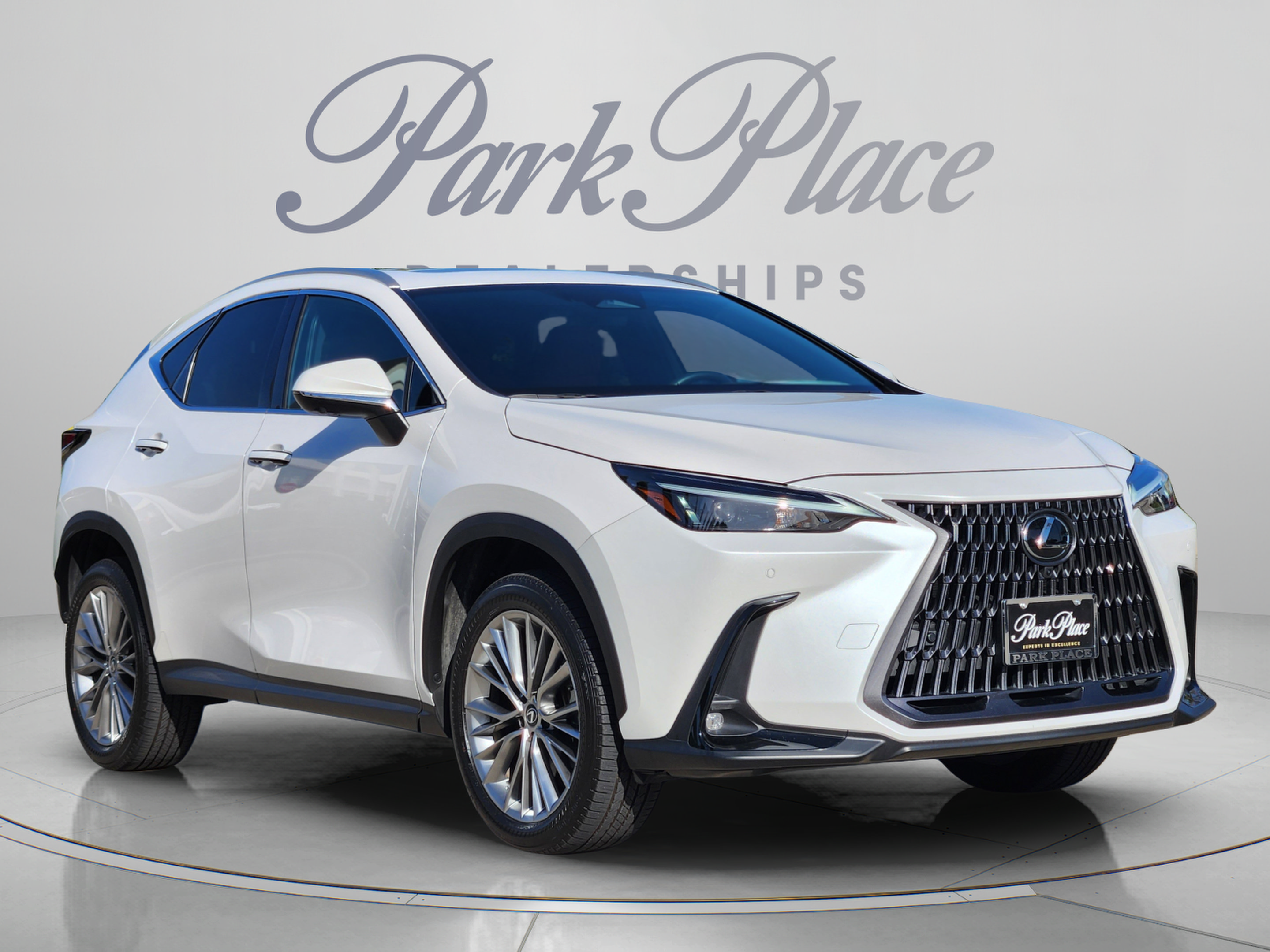Certified 2025 Lexus NX 350 AWD w/ Cold Area Package image 6