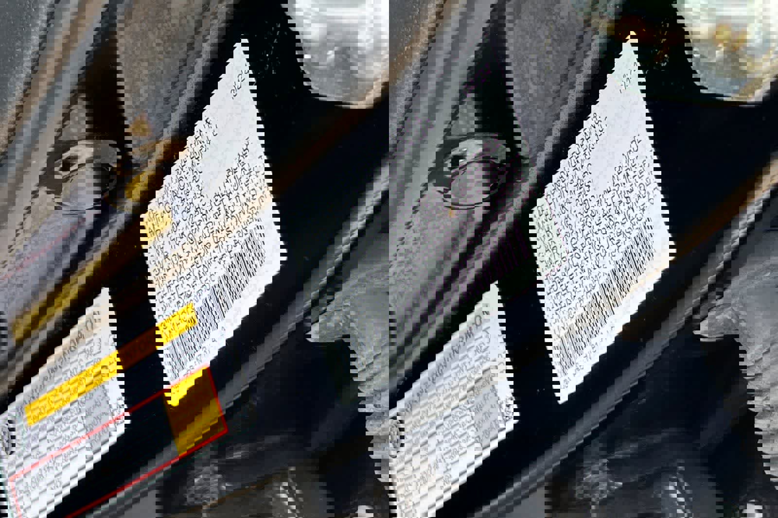 Used 2024 Honda Accord EX-L image 36