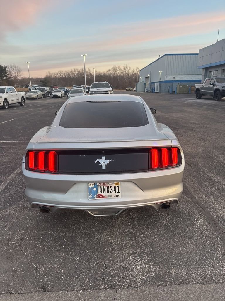 Used 2016 Ford Mustang Coupe w/ Equipment Group 051A image 8