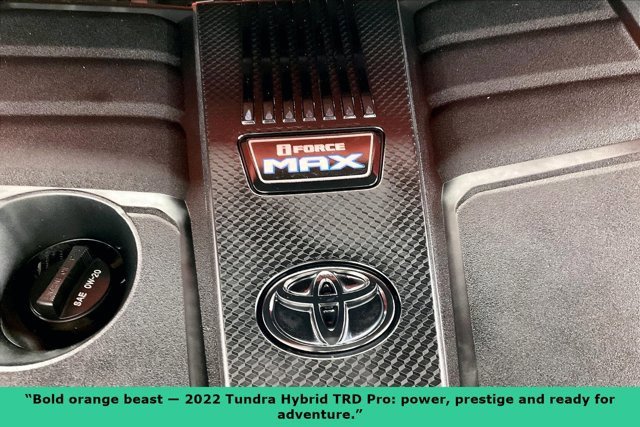 Used 2022 Toyota Tundra TRD Pro image 32