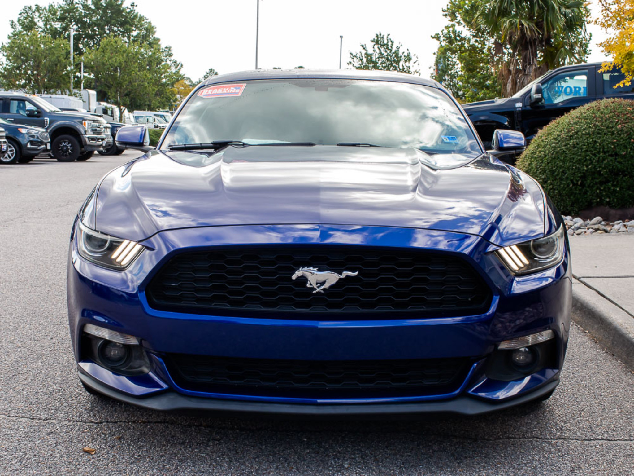 Used 2016 Ford Mustang Premium w/ Ecoboost Performance Package RWD image 2