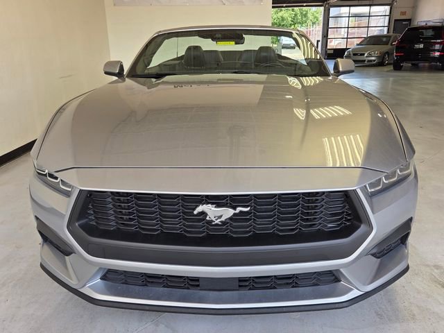 Used 2024 Ford Mustang Premium RWD image 7