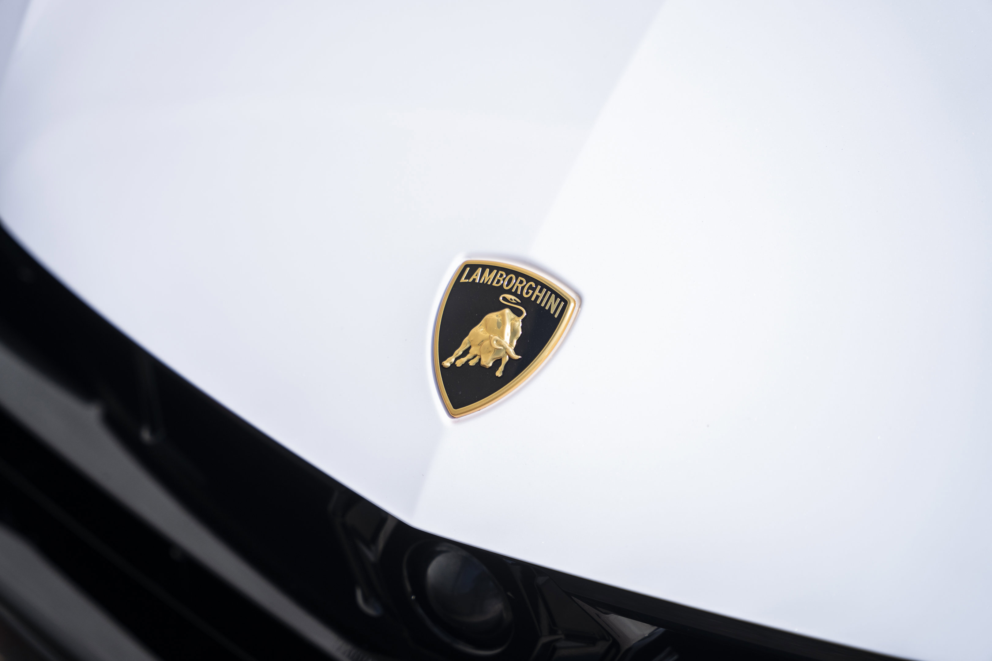 Used 2025 Lamborghini Urus SE AWD/4WD image 17