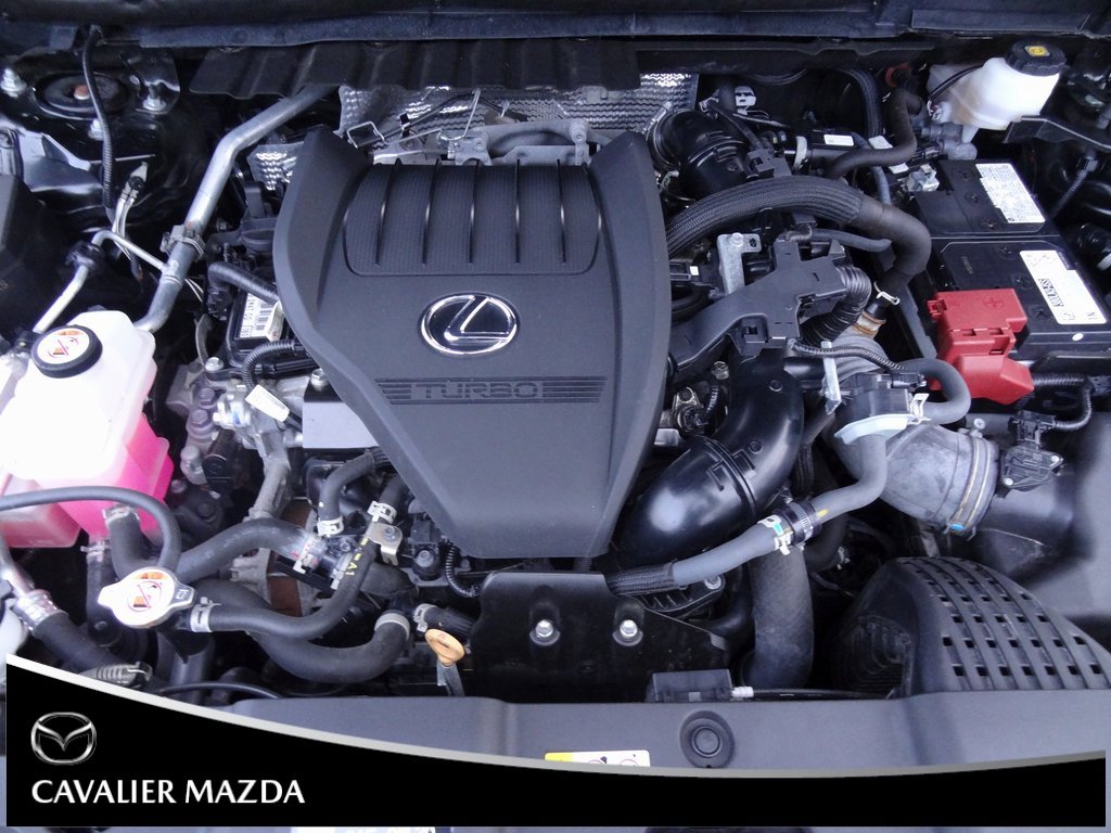 Used 2023 Lexus NX 350 AWD image 39