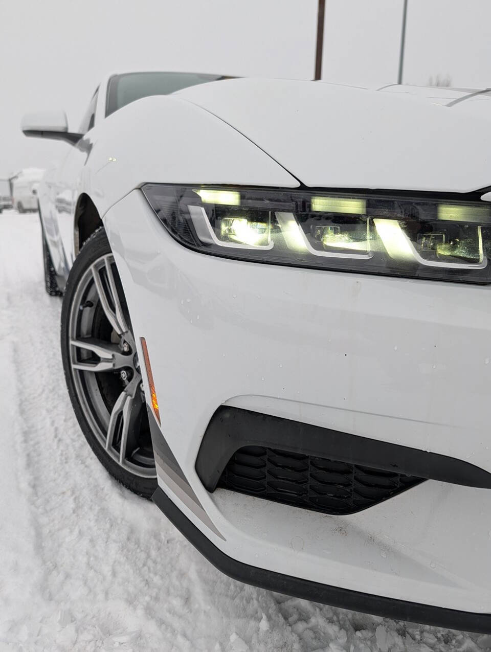 Used 2024 Ford Mustang Coupe image 2