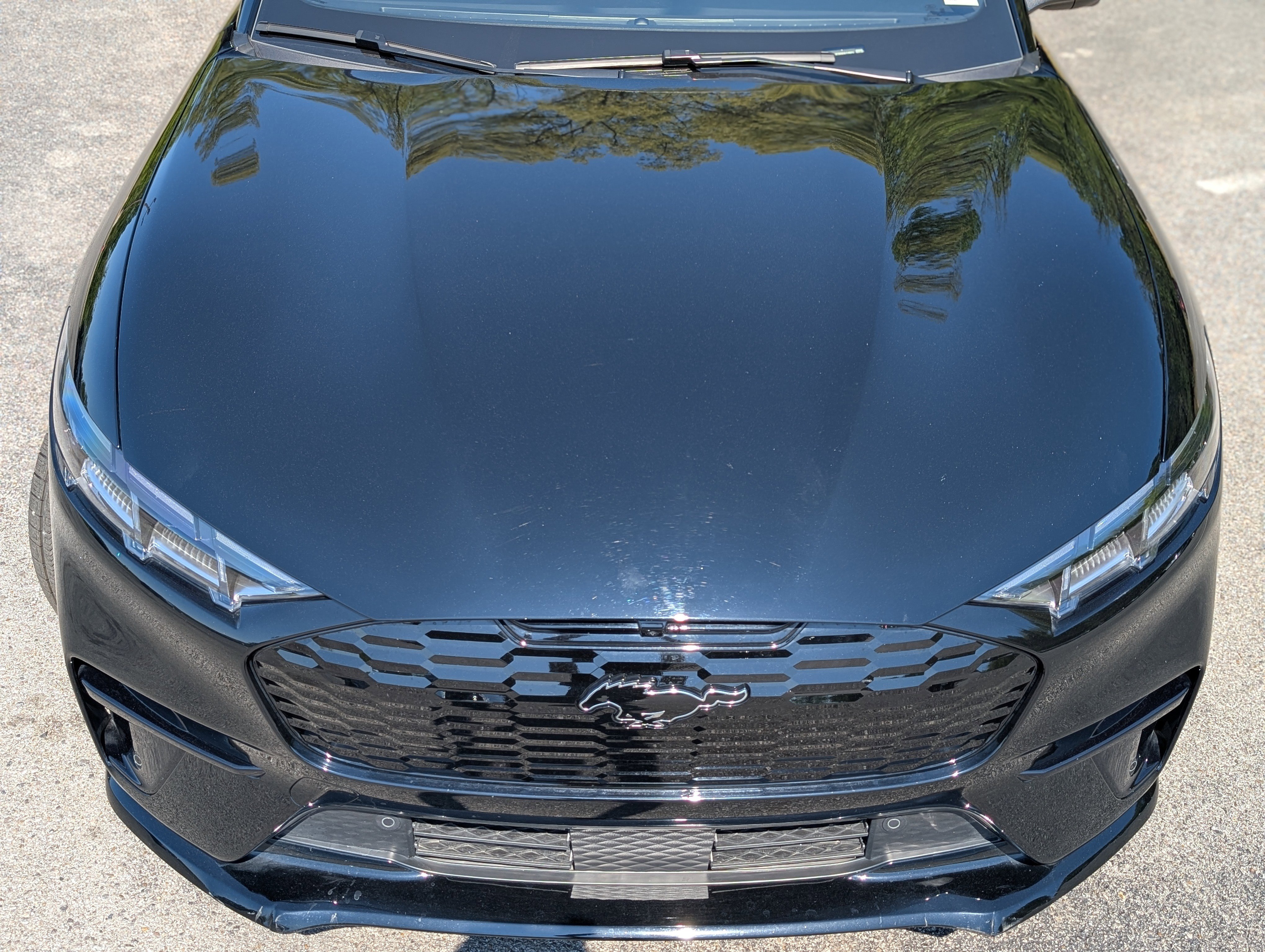 Used 2025 Ford Mustang Mach-E GT image 12