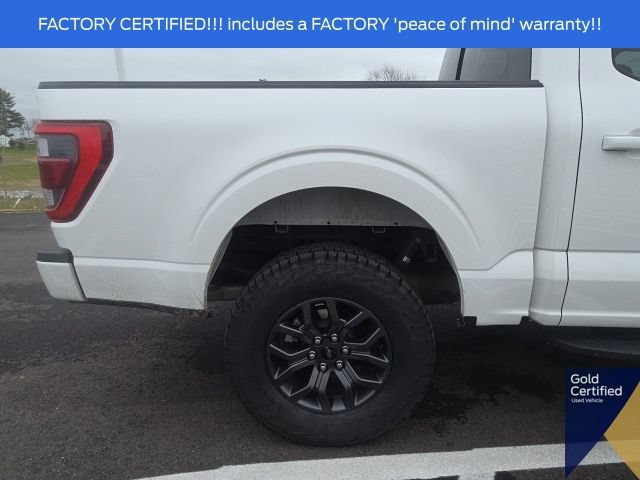 Used 2023 Ford F150 Tremor w/ Equipment Group 402A High AWD/4WD image 9