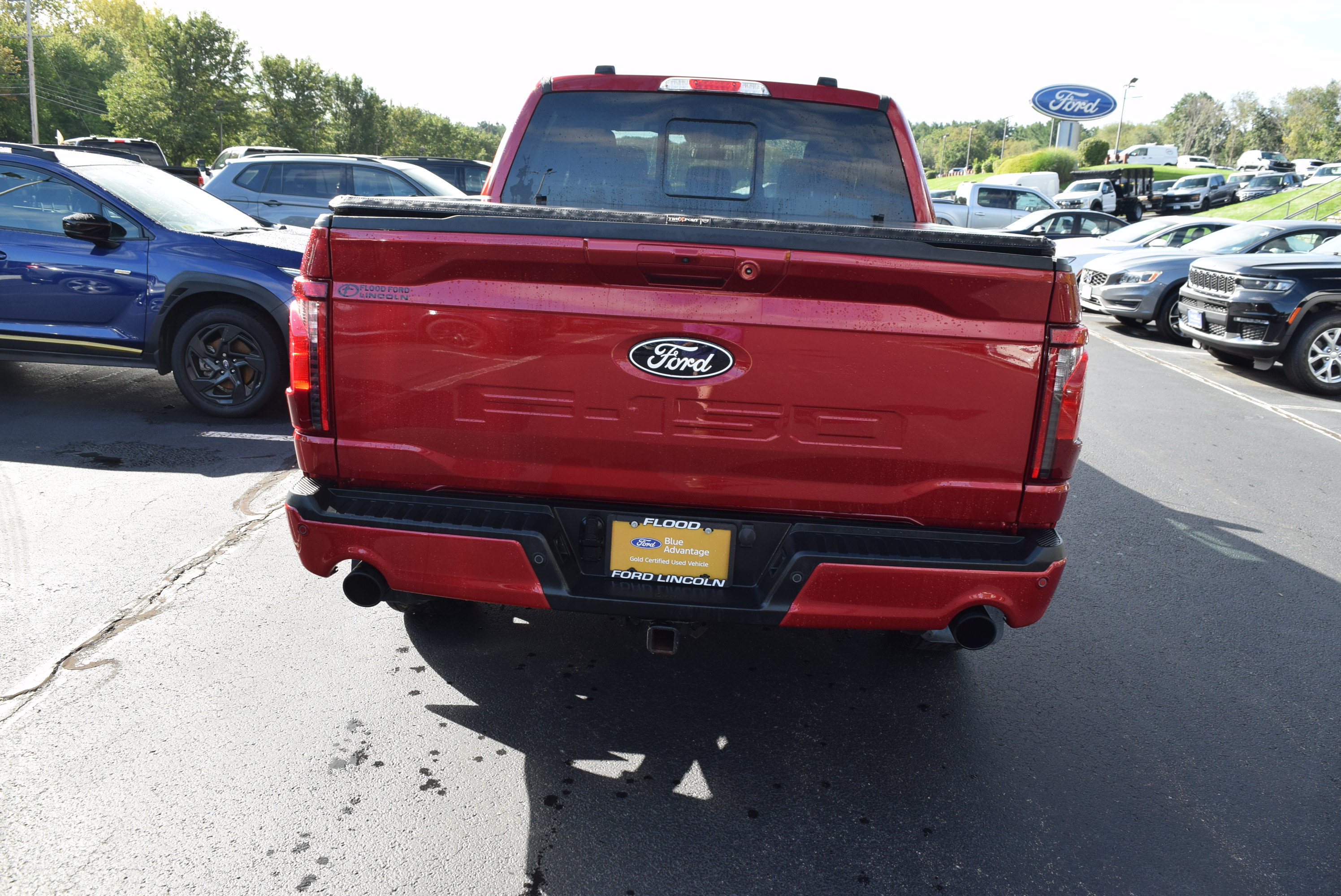 Used 2025 Ford F150 XLT w/ Equipment Group 302A MID AWD/4WD image 5