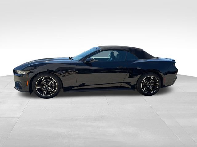Used 2024 Ford Mustang Premium RWD image 8