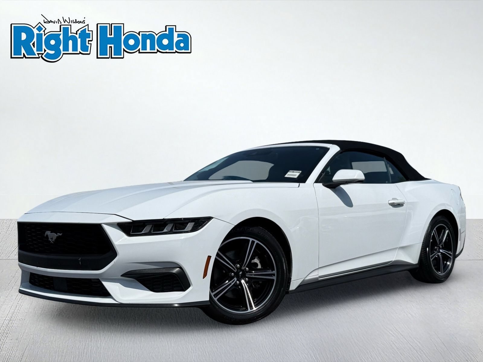 Used 2024 Ford Mustang Premium RWD video 2