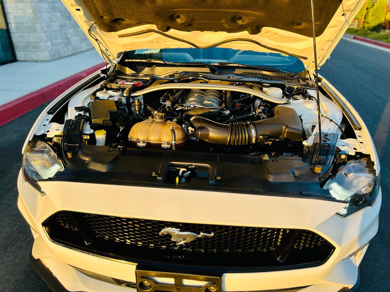 Used 2019 Ford Mustang GT Premium RWD image 16
