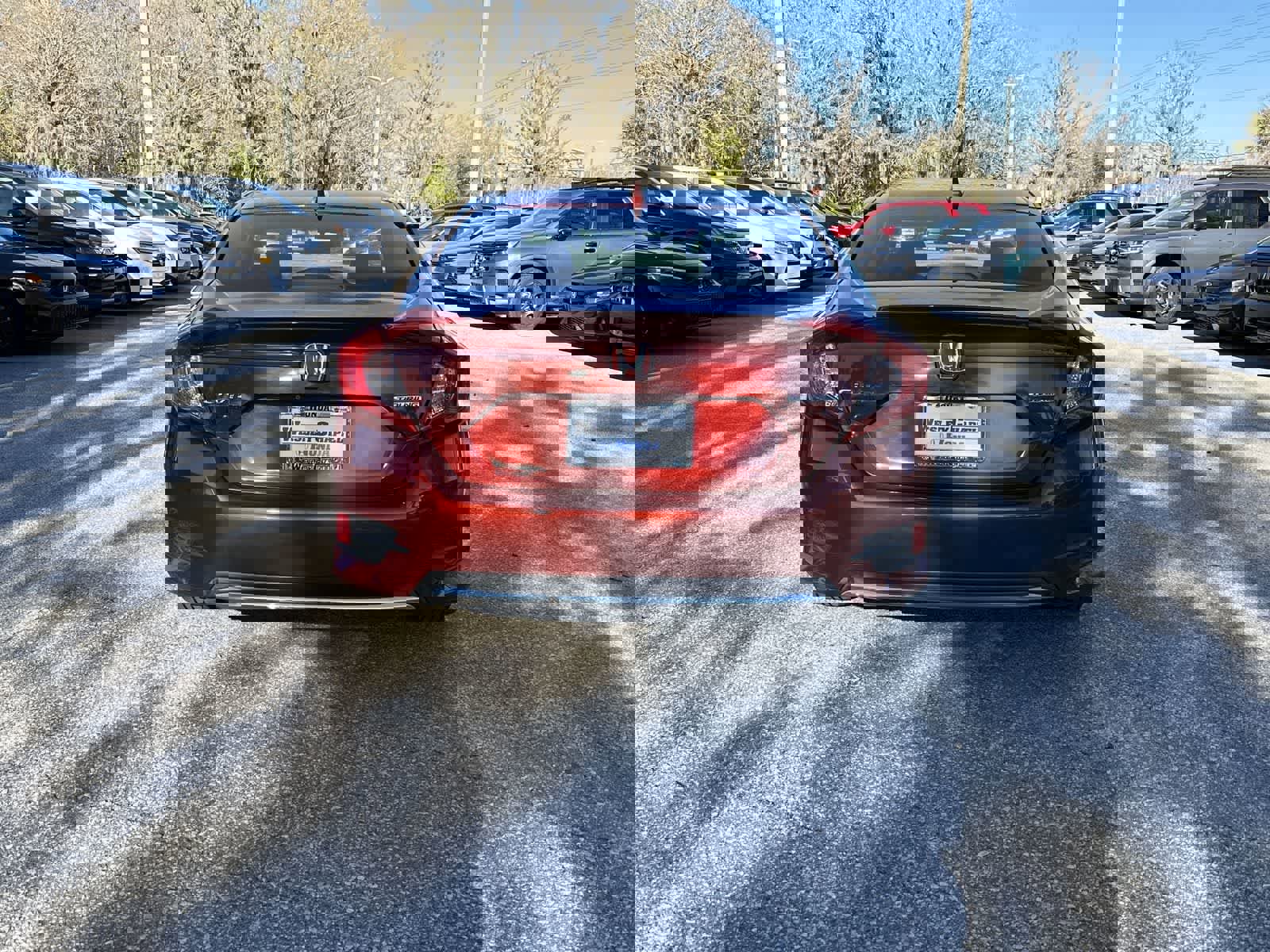 Used 2019 Honda Civic Touring image 4