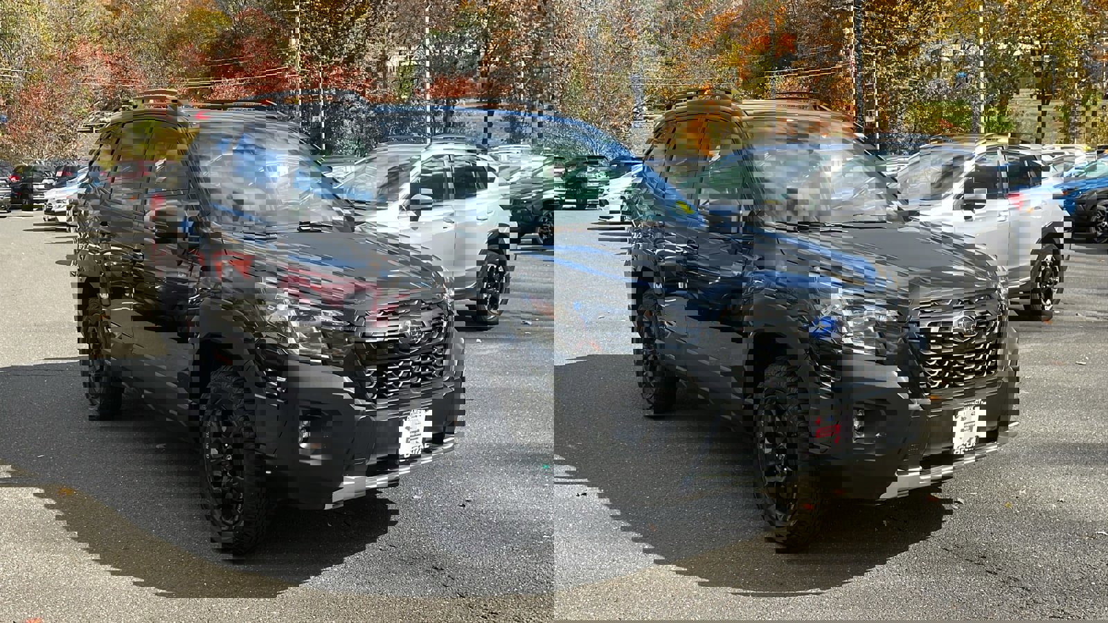 Certified 2024 Subaru Forester Wilderness image 3