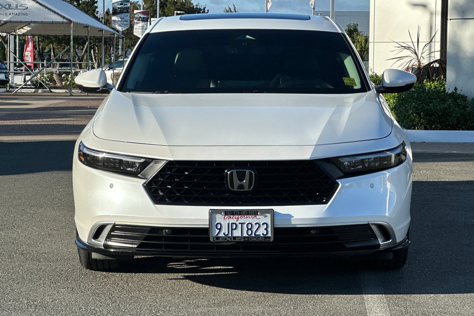 Used 2024 Honda Accord Touring image 6
