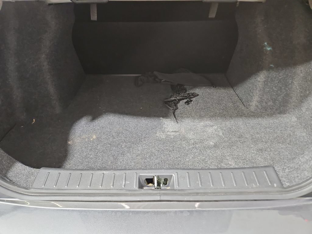 Certified 2024 Nissan Versa S w/ Trunk Package FWD image 23