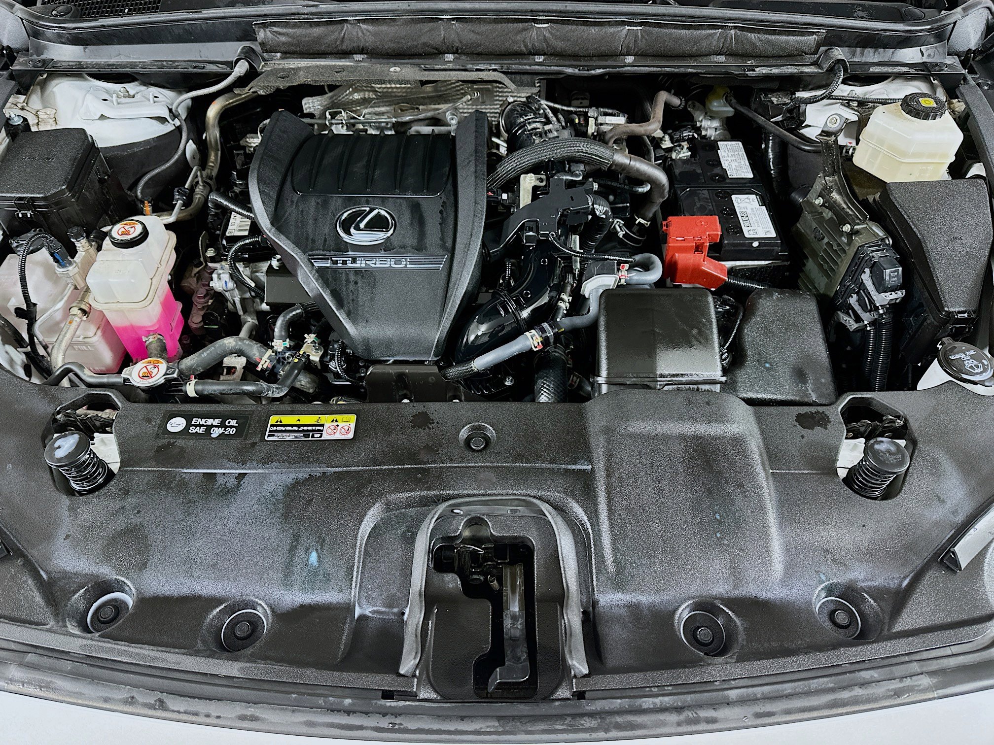 Used 2023 Lexus RX 350 Premium Plus w/ Cold Area Package image 30