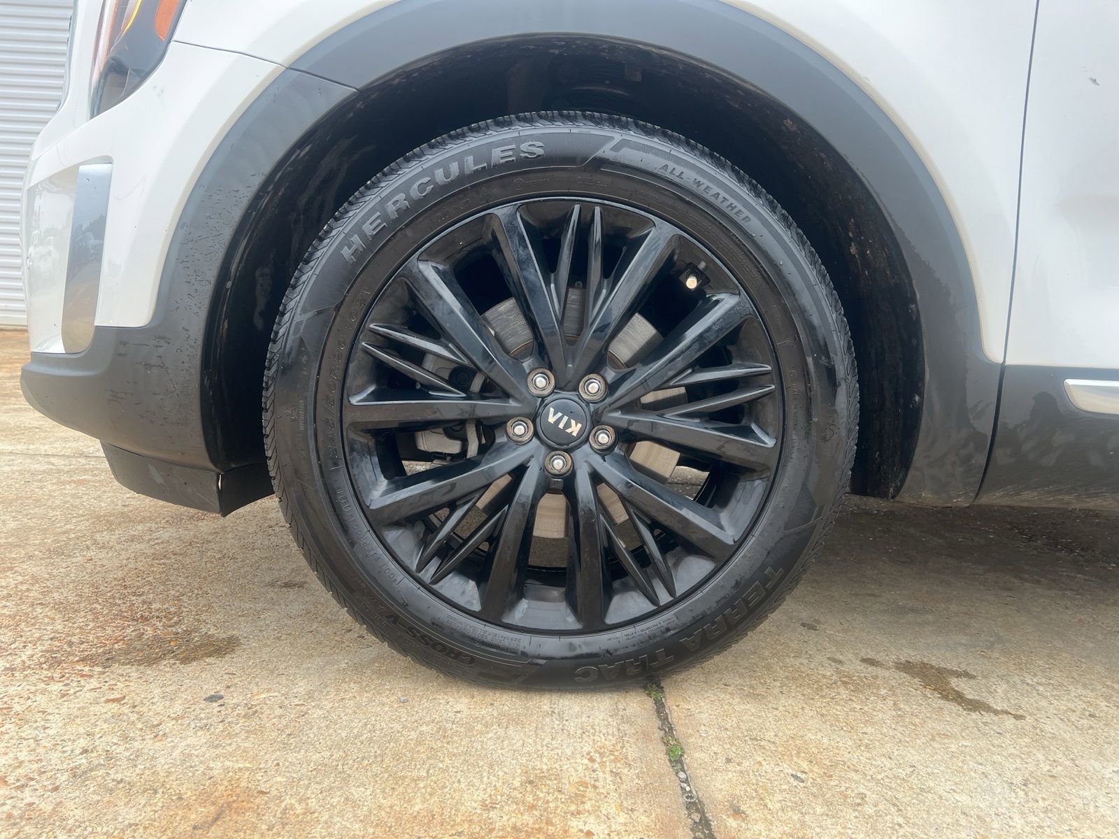 Used 2020 Kia Telluride SX w/ SX Prestige Package image 7