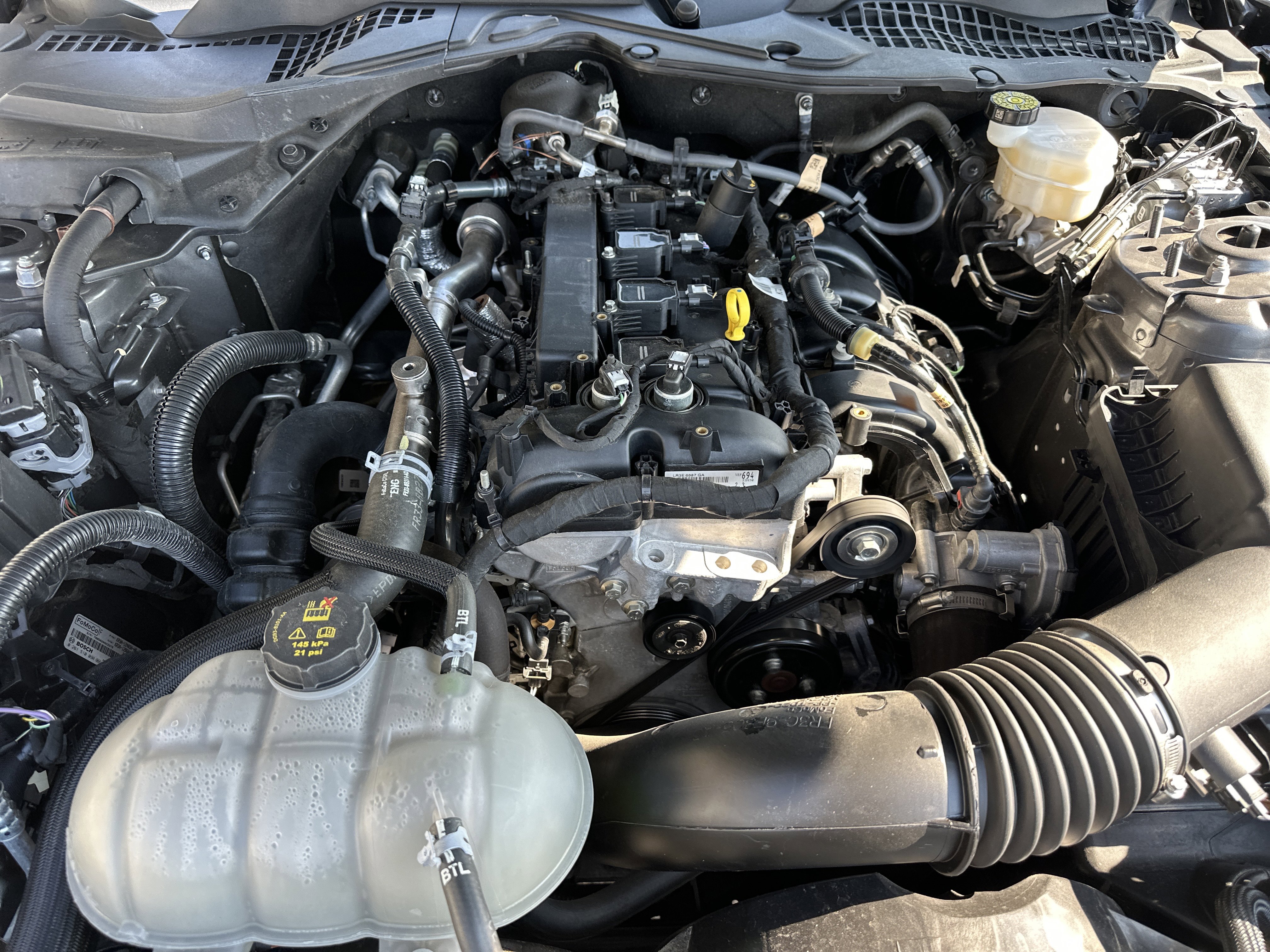 Used 2023 Ford Mustang Coupe w/ Equipment Group 101A image 10